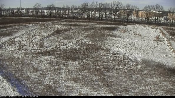 Cell 3_24-01-21_14-59-11-94