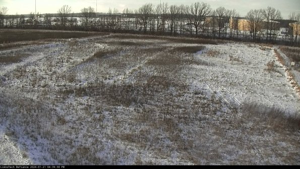 Cell 3_24-01-21_16-39-38-95