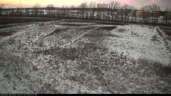 Cell 3_24-01-21_17-46-37-94