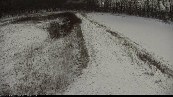 Cell 4 to Basin_24-01-21_08-51-47-91