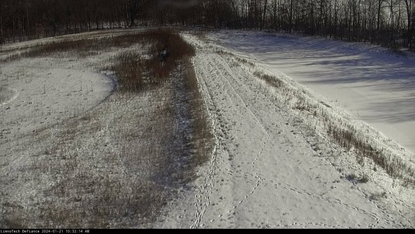 Cell 4 to Basin_24-01-21_10-32-14-91