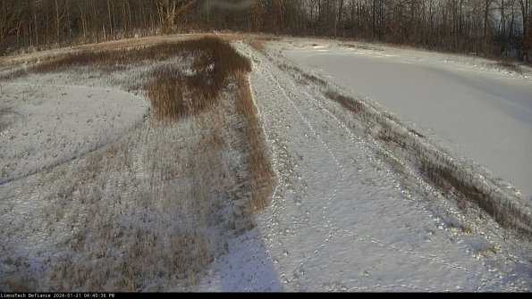 Cell 4 to Basin_24-01-21_16-40-36-94