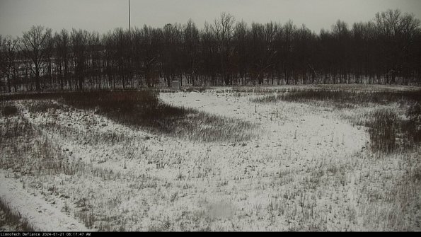 Cell 4_24-01-21_08-17-47-94