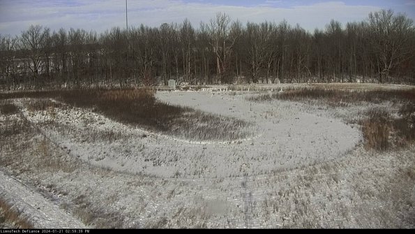 Cell 4_24-01-21_14-59-39-94