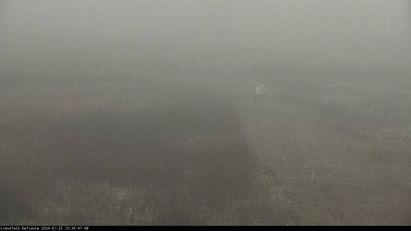 Cell 1 to 2_24-01-25_10-30-47-93