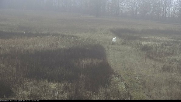 Cell 1 to 2_24-01-25_13-18-14-93