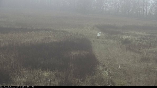 Cell 1 to 2_24-01-25_13-51-44-91