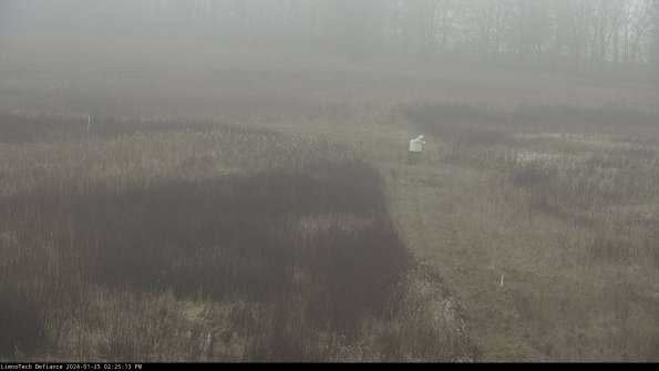 Cell 1 to 2_24-01-25_14-25-13-93