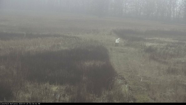 Cell 1 to 2_24-01-25_14-58-42-94