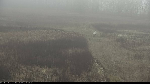 Cell 1 to 2_24-01-25_16-05-41-91