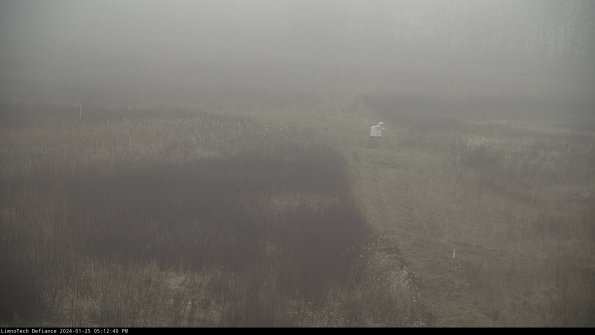 Cell 1 to 2_24-01-25_17-12-40-94