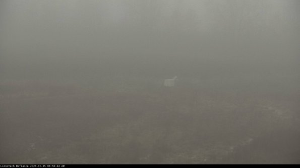 Cell 2 to 3_24-01-25_08-50-45-11