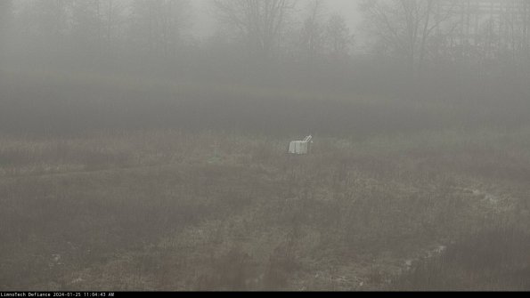 Cell 2 to 3_24-01-25_11-04-44-00