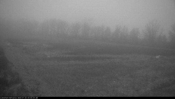 Cell 2_24-01-25_07-43-34-07