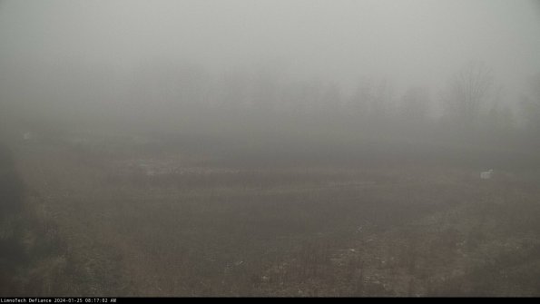 Cell 2_24-01-25_08-17-02-95