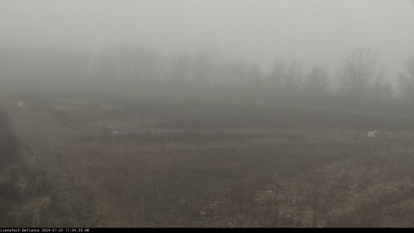 Cell 2_24-01-25_11-04-30-99