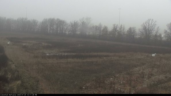 Cell 2_24-01-25_12-11-29-02