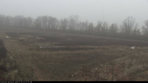 Cell 2_24-01-25_13-51-57-93