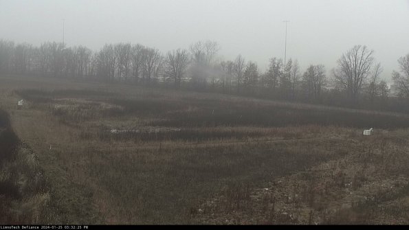 Cell 2_24-01-25_15-32-25-94