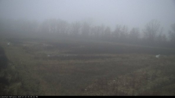 Cell 2_24-01-25_17-46-23-03