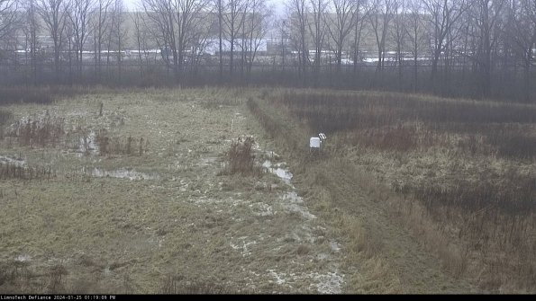 Cell 3 to 4_24-01-25_13-19-09-92