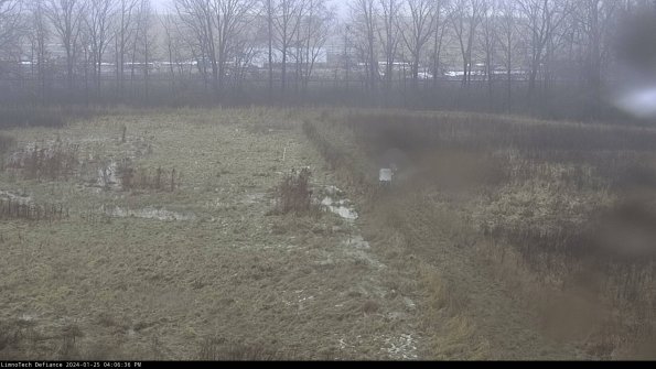 Cell 3 to 4_24-01-25_16-06-36-93