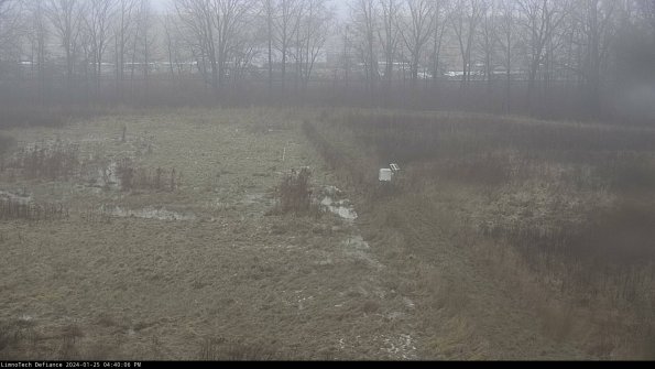 Cell 3 to 4_24-01-25_16-40-06-91