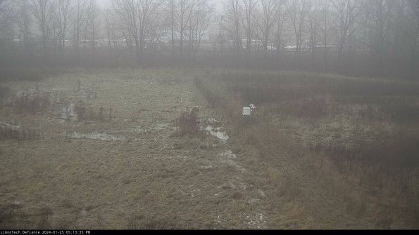 Cell 3 to 4_24-01-25_17-13-35-92