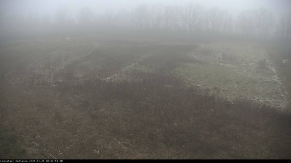 Cell 3_24-01-25_08-50-59-96