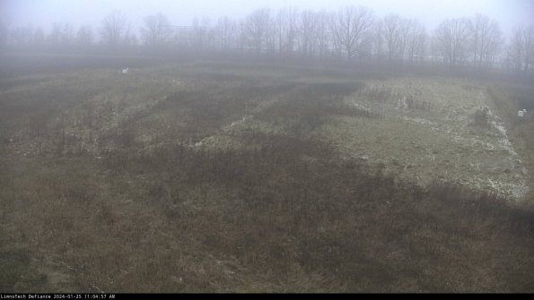 Cell 3_24-01-25_11-04-58-18