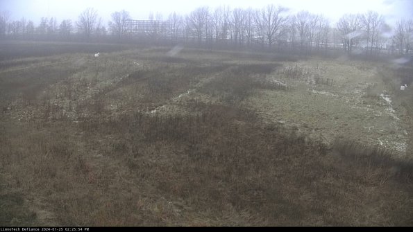 Cell 3_24-01-25_14-25-54-94