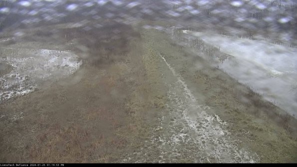 Cell 4 to Basin_24-01-25_13-19-53-93