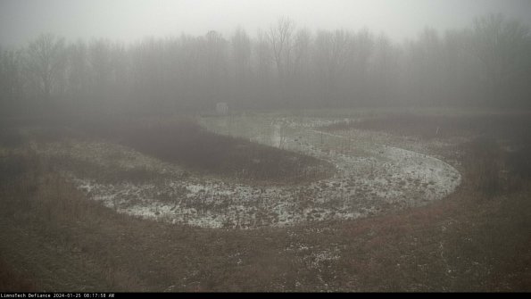 Cell 4_24-01-25_08-17-58-94