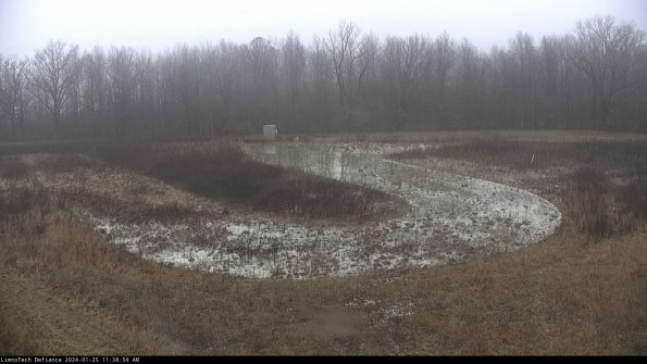 Cell 4_24-01-25_11-38-54-92