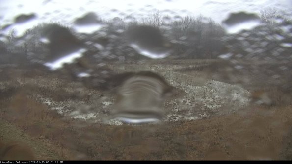 Cell 4_24-01-25_15-33-21-93