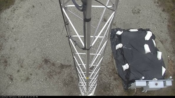 Hatch_24-01-25_13-21-03-94