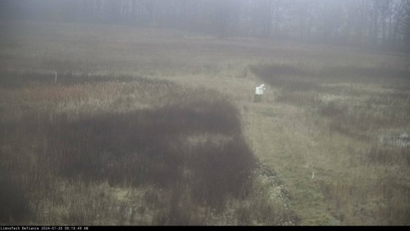 Cell 1 to 2_24-01-26_08-16-49-93