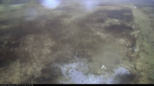 Cell 1_24-01-26_08-16-35-95