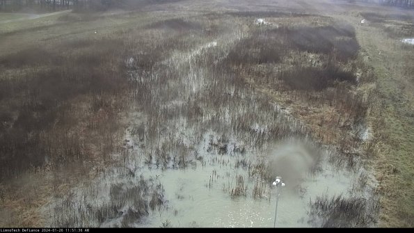 Cell 1_24-01-26_11-51-36-98