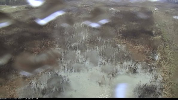 Cell 1_24-01-26_13-18-18-93