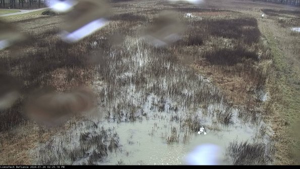 Cell 1_24-01-26_14-25-16-96