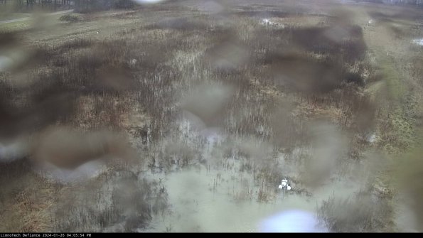 Cell 1_24-01-26_16-05-54-92