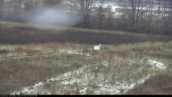 Cell 2 to 3_24-01-26_13-52-27-98