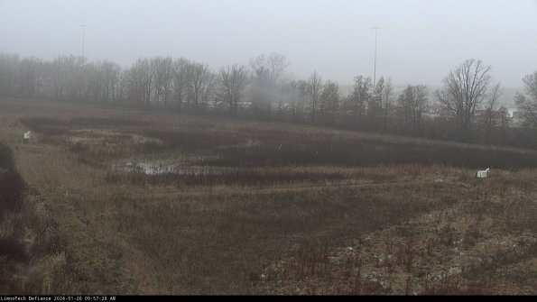 Cell 2_24-01-26_09-57-28-95