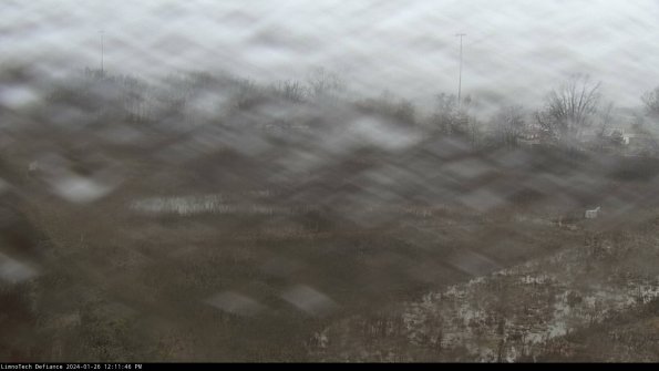 Cell 2_24-01-26_12-11-46-93