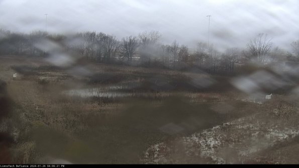 Cell 2_24-01-26_16-06-22-01