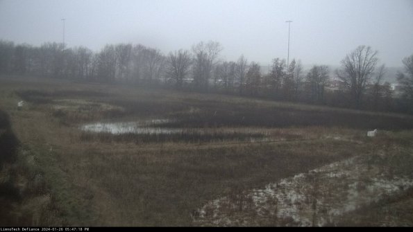 Cell 2_24-01-26_17-47-18-95