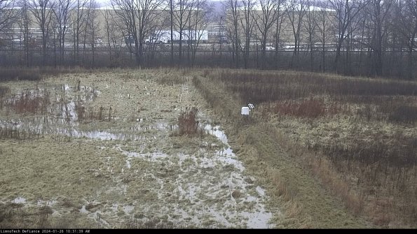 Cell 3 to 4_24-01-26_10-31-39-97