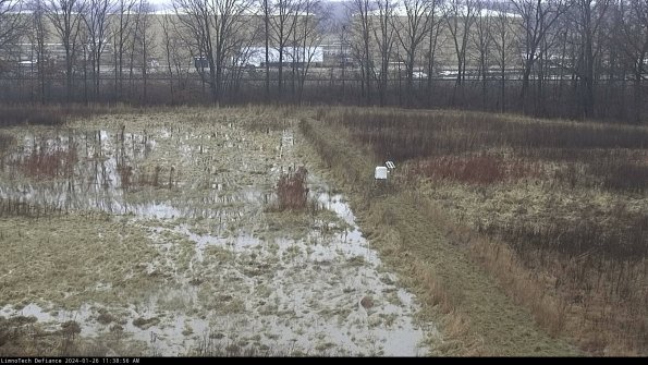 Cell 3 to 4_24-01-26_11-38-56-95