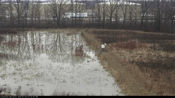 Cell 3 to 4_24-01-26_13-52-55-91